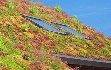 Bellside living roof systems
