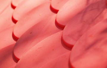 Bellside plastic roof costs